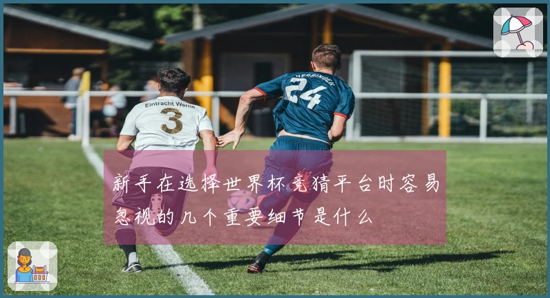 新手在选择世界杯竞猜平台时容易忽视的几个重要细节是什么
