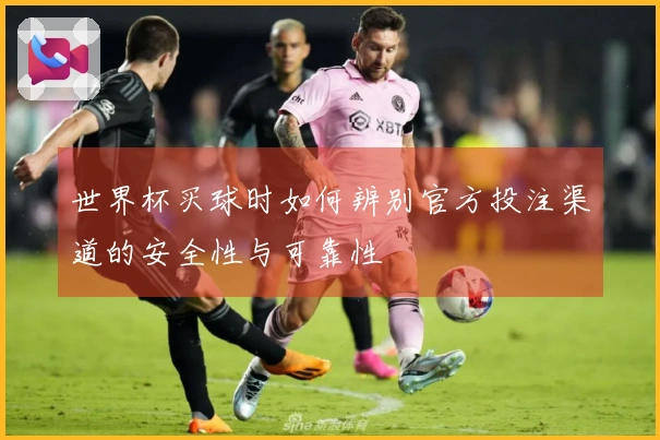 世界杯买球时如何辨别官方投注渠道的安全性与可靠性