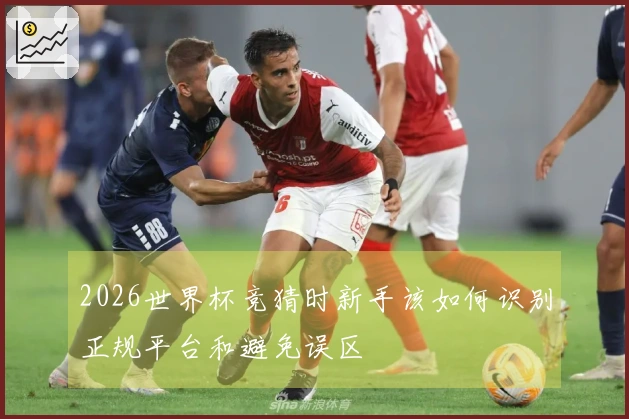 2026世界杯竞猜时新手该如何识别正规平台和避免误区