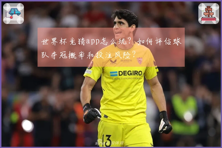 世界杯竞猜app怎么玩？如何评估球队夺冠概率和投注风险？