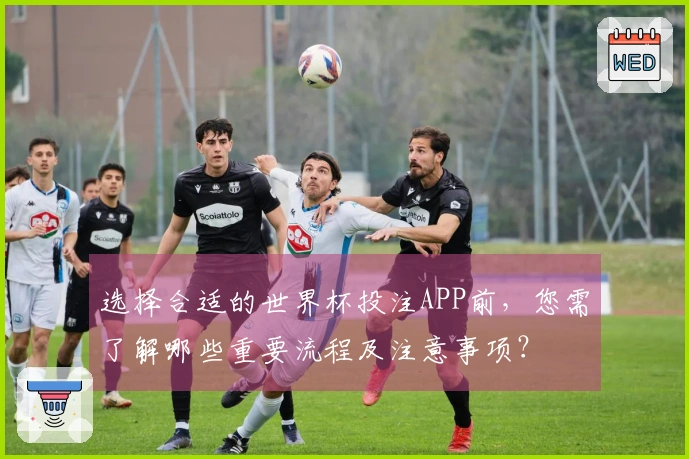 选择合适的世界杯投注APP前，您需了解哪些重要流程及注意事项？