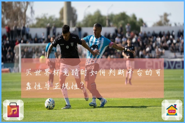 买世界杯竞猜时如何判断平台的可靠性与正规性？
