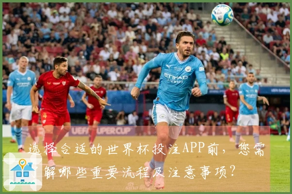 选择合适的世界杯投注APP前，您需了解哪些重要流程及注意事项？