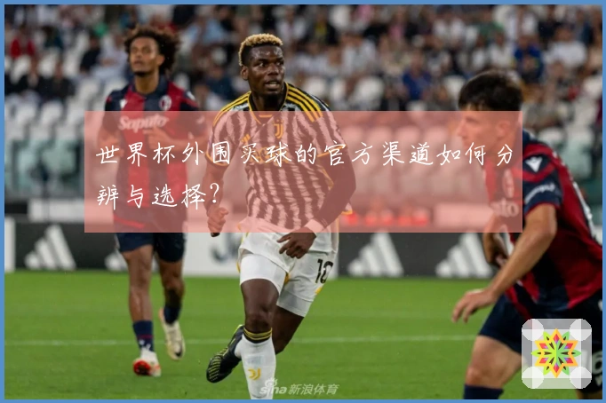 世界杯外围买球的官方渠道如何分辨与选择？