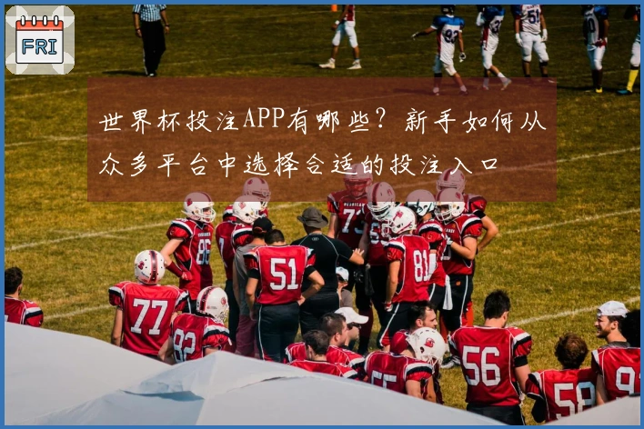 世界杯投注APP有哪些？新手如何从众多平台中选择合适的投注入口