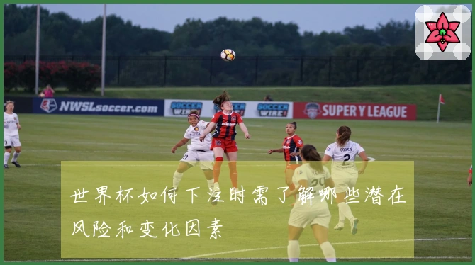 世界杯如何下注时需了解哪些潜在风险和变化因素