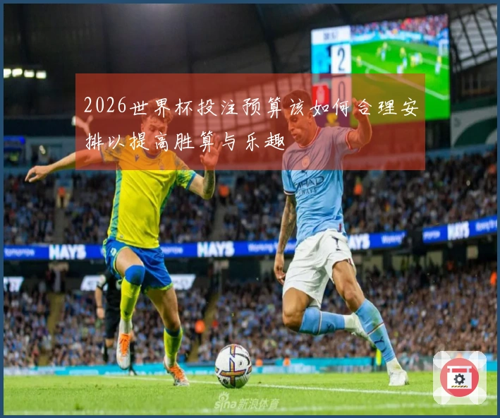 2026世界杯投注预算该如何合理安排以提高胜算与乐趣