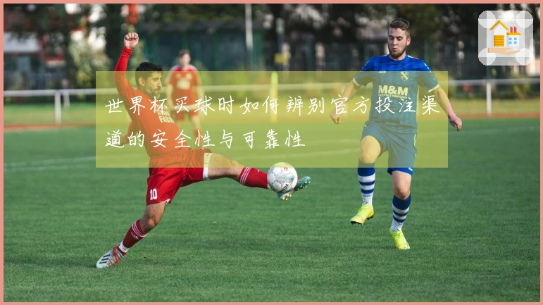 世界杯买球时如何辨别官方投注渠道的安全性与可靠性