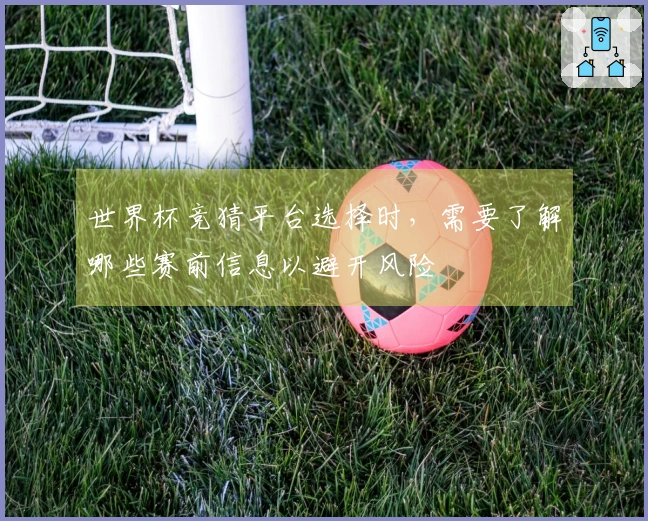世界杯竞猜平台选择时，需要了解哪些赛前信息以避开风险