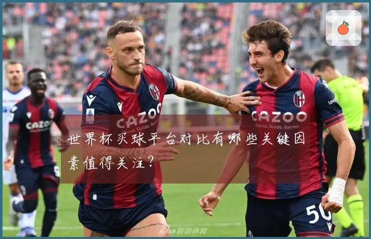 世界杯买球平台对比有哪些关键因素值得关注？