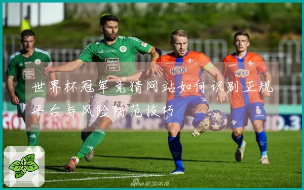 世界杯冠军竞猜网站如何识别正规平台与风险防范技巧