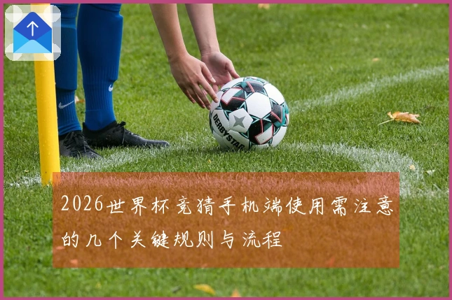 2026世界杯竞猜手机端使用需注意的几个关键规则与流程