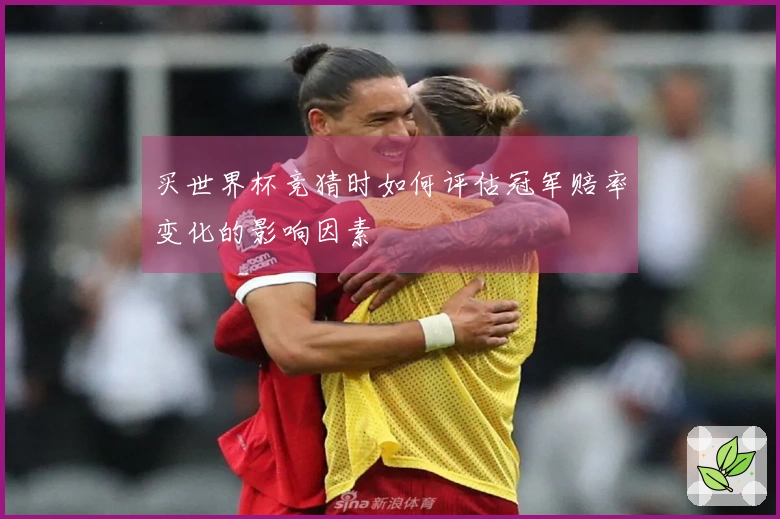 买世界杯竞猜时如何评估冠军赔率变化的影响因素