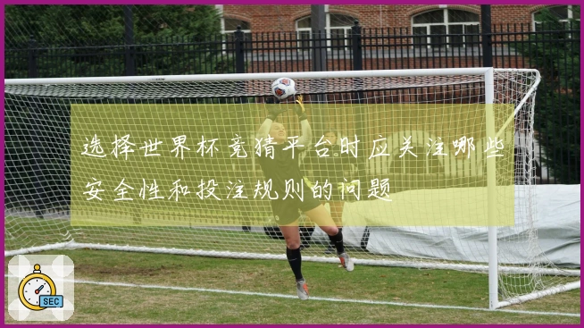 选择世界杯竞猜平台时应关注哪些安全性和投注规则的问题
