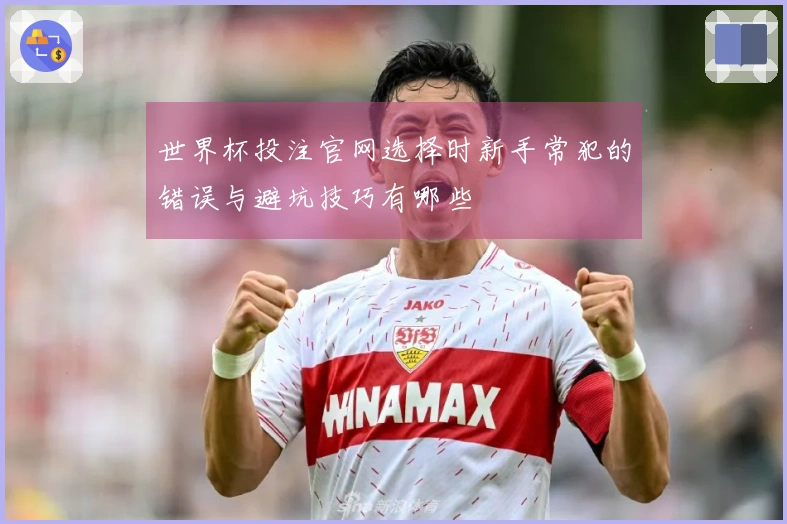 世界杯投注官网选择时新手常犯的错误与避坑技巧有哪些