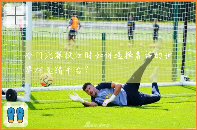 冷门比赛投注时如何选择靠谱的世界杯竞猜平台？