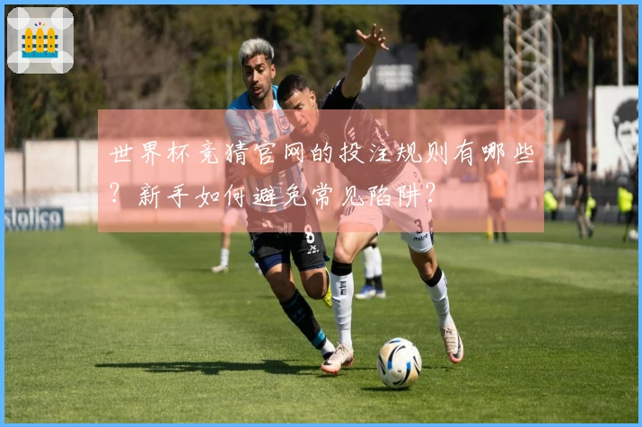 世界杯竞猜官网的投注规则有哪些？新手如何避免常见陷阱？