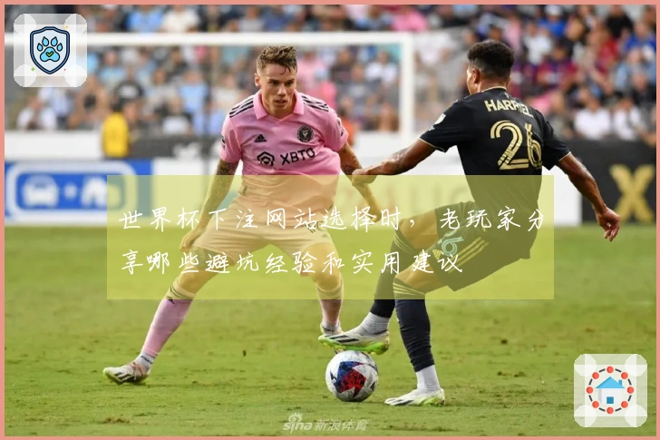世界杯下注网站选择时，老玩家分享哪些避坑经验和实用建议