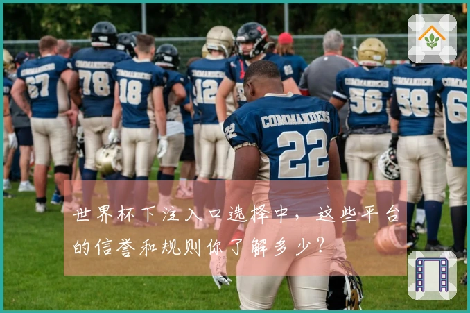 世界杯下注入口选择中，这些平台的信誉和规则你了解多少？