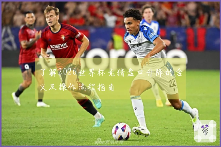 了解2026世界杯竞猜盘口升降的含义及操作流程指南