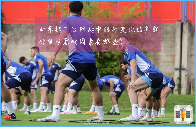 世界杯下注网站中赔率变化的判断标准与影响因素有哪些？