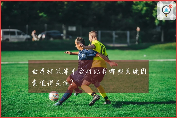 世界杯买球平台对比有哪些关键因素值得关注？