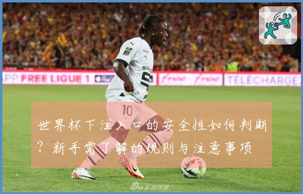 世界杯下注入口的安全性如何判断？新手需了解的规则与注意事项