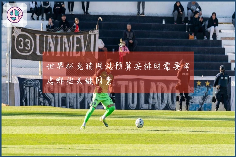 世界杯竞猜网站预算安排时需要考虑哪些关键因素