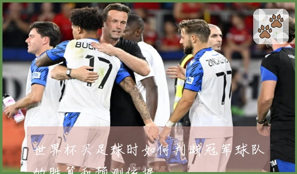 世界杯买足球时如何判断冠军球队的胜算和预测依据