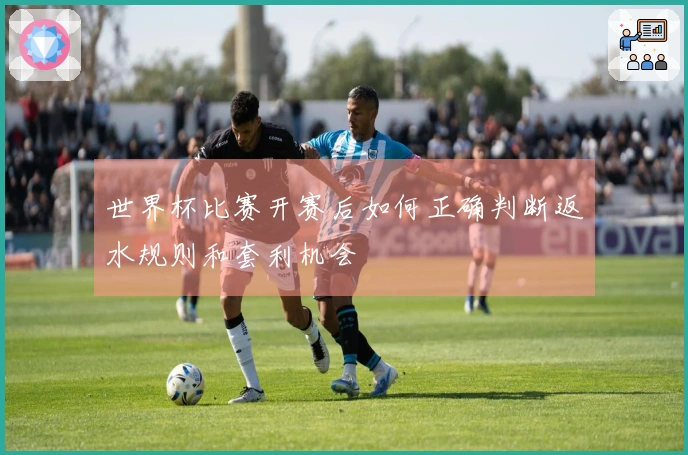 世界杯比赛开赛后如何正确判断返水规则和套利机会