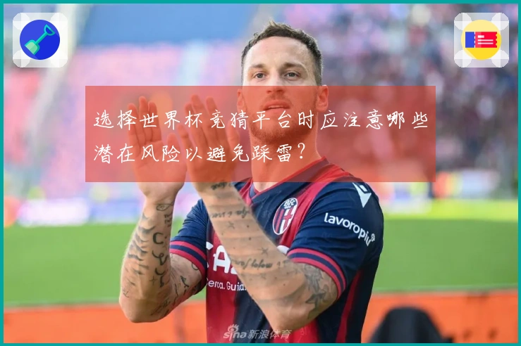 选择世界杯竞猜平台时应注意哪些潜在风险以避免踩雷？
