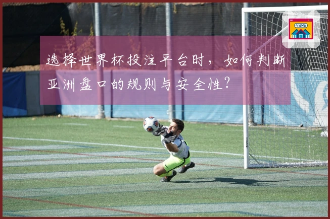 选择世界杯投注平台时，如何判断亚洲盘口的规则与安全性？