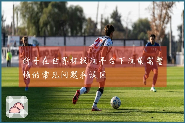 新手在世界杯投注平台下注前需警惕的常见问题和误区