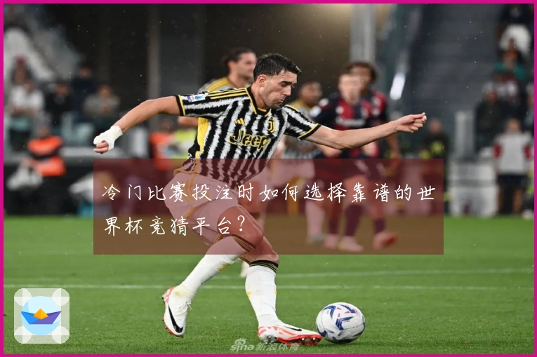 冷门比赛投注时如何选择靠谱的世界杯竞猜平台？