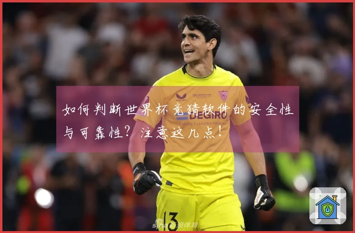 如何判断世界杯竞猜软件的安全性与可靠性？注意这几点！