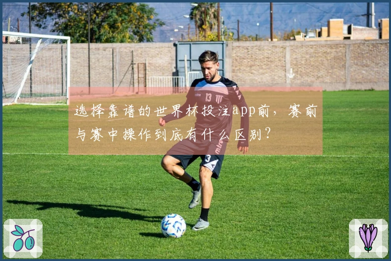 选择靠谱的世界杯投注app前，赛前与赛中操作到底有什么区别？