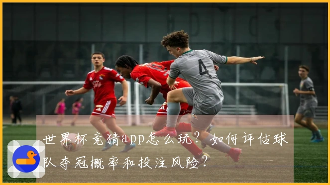 世界杯竞猜app怎么玩？如何评估球队夺冠概率和投注风险？