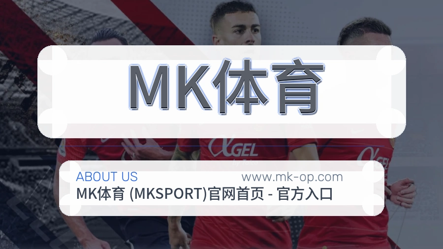 反馈机制